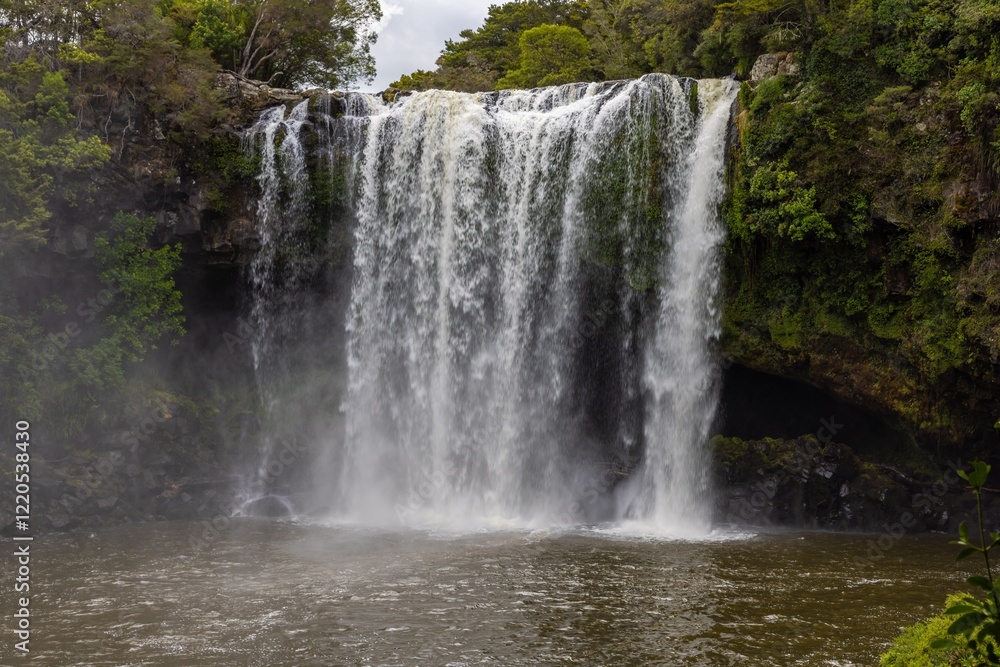 Obraz premium Powerful waterfall cascading down a dark cliff face, surrounded by lush green foliage. Nature's raw beauty. RAINBOW FALLS, KERIKERI, NZ