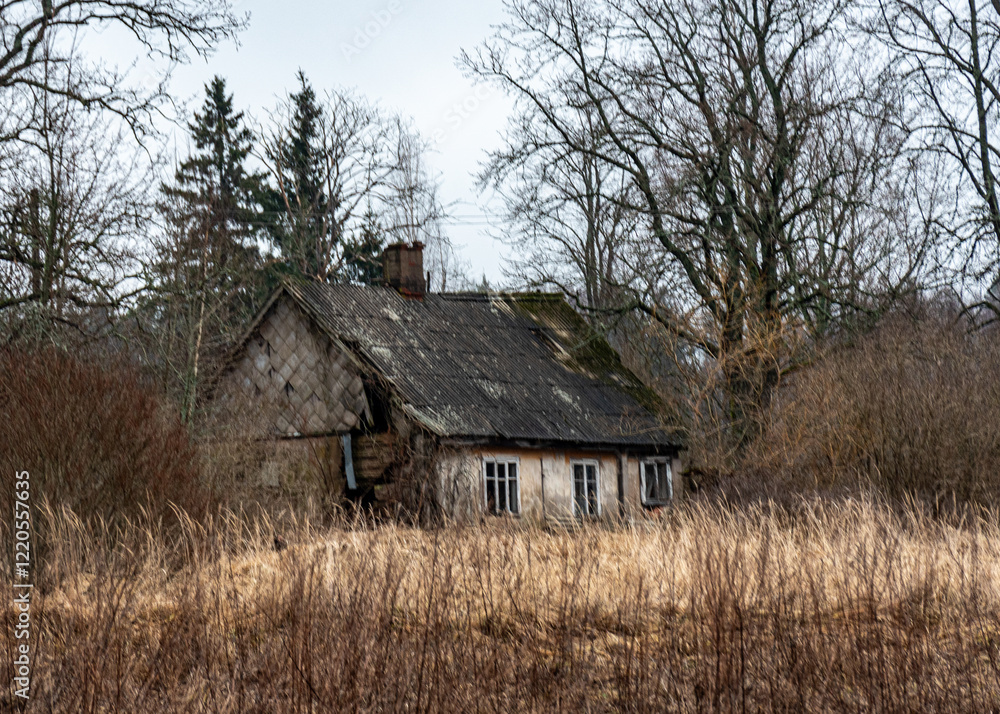 lonely rural landscape with an old and abandoned wooden building on the edge of the forest, winter lonely rural landscape with an old and abandoned wooden building on the edge of the forest, winter