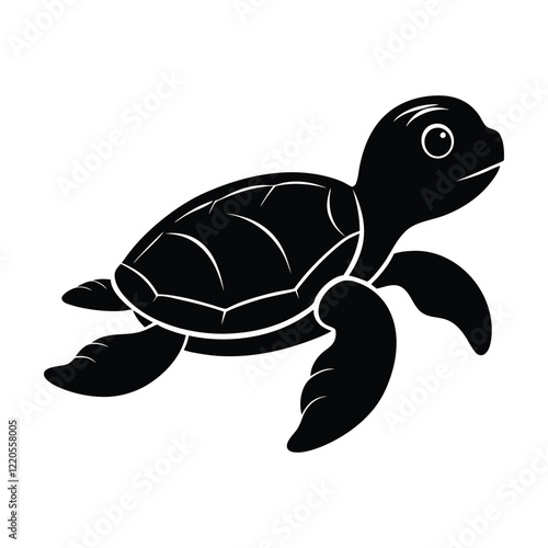 baby turtle vector illustration