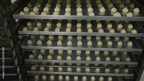 Wallpaper Mural Automated bakery production line transporting uncooked cookies on metal trays, systematically moving into large industrial oven for mass baking process Torontodigital.ca