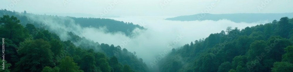 Foggy cloud forest landscape with towering trees and misty atmosphere, green, forest Foggy cloud forest landscape with towering trees and misty atmosphere, green, forest