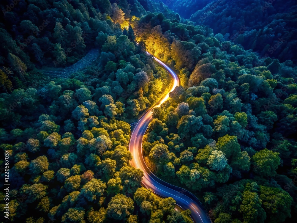 Aerial View: Dark Winding Road Through Lush, Shadowy Forest at Night Aerial View: Dark Winding Road Through Lush, Shadowy Forest at Night