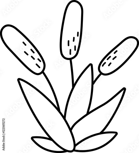 Vector black and white reeds icon. Cute line marsh or swamp plant illustration isolated on white background. Water plant clipart. Cattails or bulrush greenery coloring page