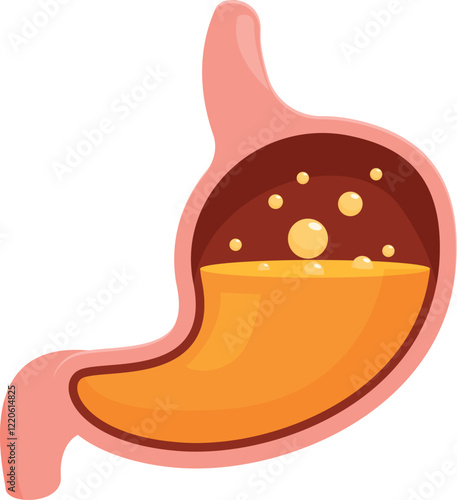 Gastric acid dissolving food in human stomach, digestive system concept