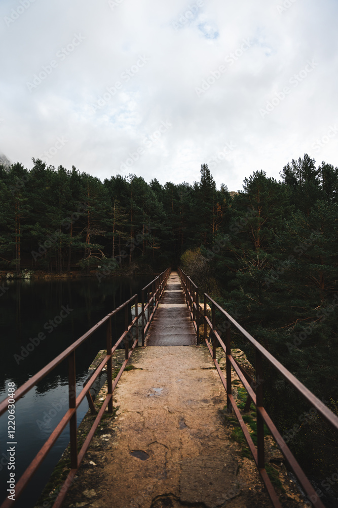 Fototapeta premium Puente de hierro en el bosque al lado de un embalse