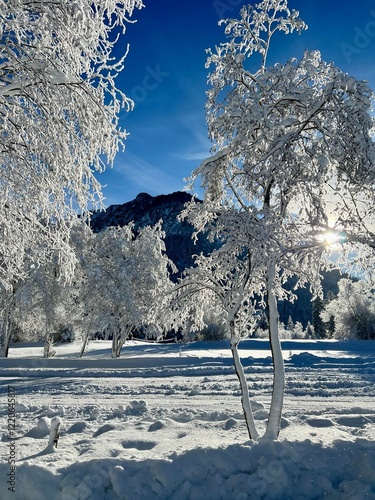 Atemberaubende Alpengipfel an einem sonnigen und frostigen Tag photo