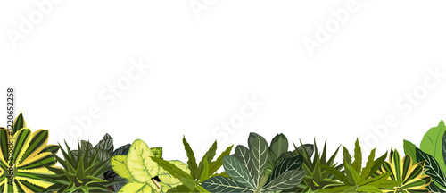 House plants and Tropical leaves background. Palm tree, monstera, succulents nature border. Tropical Plant and Foliage Growth Modern template, overlay, banner. Vector illustration isolated