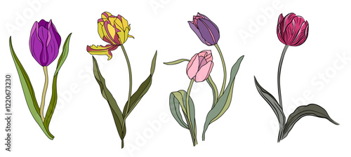 Set of tulips April birth month flower colorful vector illustration. Modern minimalist hand drawn design for logo, tattoo, packaging, card, wall art, poster. Colored line art isolated on white.