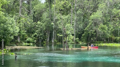 Silver Springs State Park Florida near Ocala offers Canoe, Kayak and also paddle board opportunities