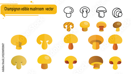 Champignon edible mushroom  vector