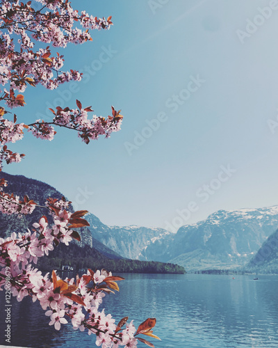 Blooming cherry branch over a calm mountain lake with clear blue wate