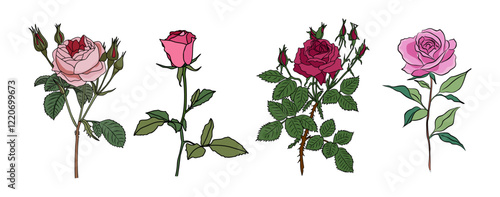 Rose June birth month flower colorful vector illustration. Modern minimalist hand drawn design for logo, tattoo, packaging, card, wall art, poster. Colored line art isolated