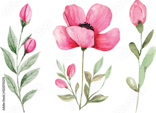 bouquet of tulips
