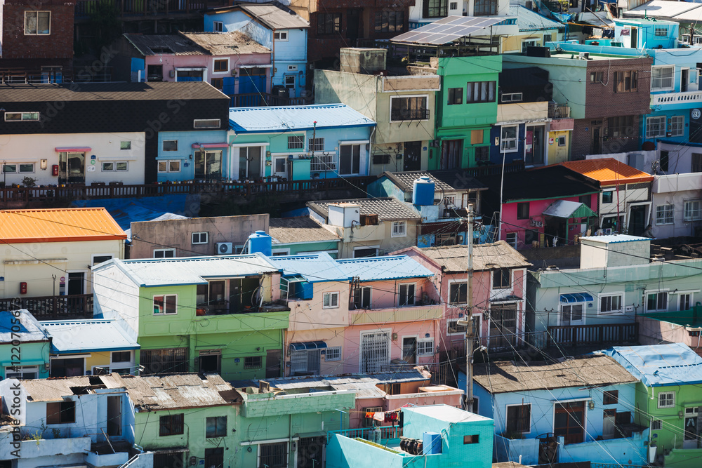 Fototapeta premium View of Gamcheon Culture village, Busan city, South Korea, Gamcheon-dong, Saha District, beautiful view of streets and multicoloured houses in a summer sunny day, Republic of Korea travel