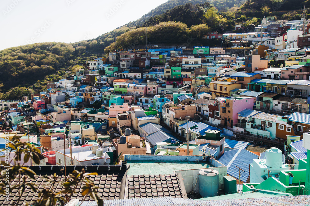 Fototapeta premium View of Gamcheon Culture village, Busan city, South Korea, Gamcheon-dong, Saha District, beautiful view of streets and multicoloured houses in a summer sunny day, Republic of Korea travel