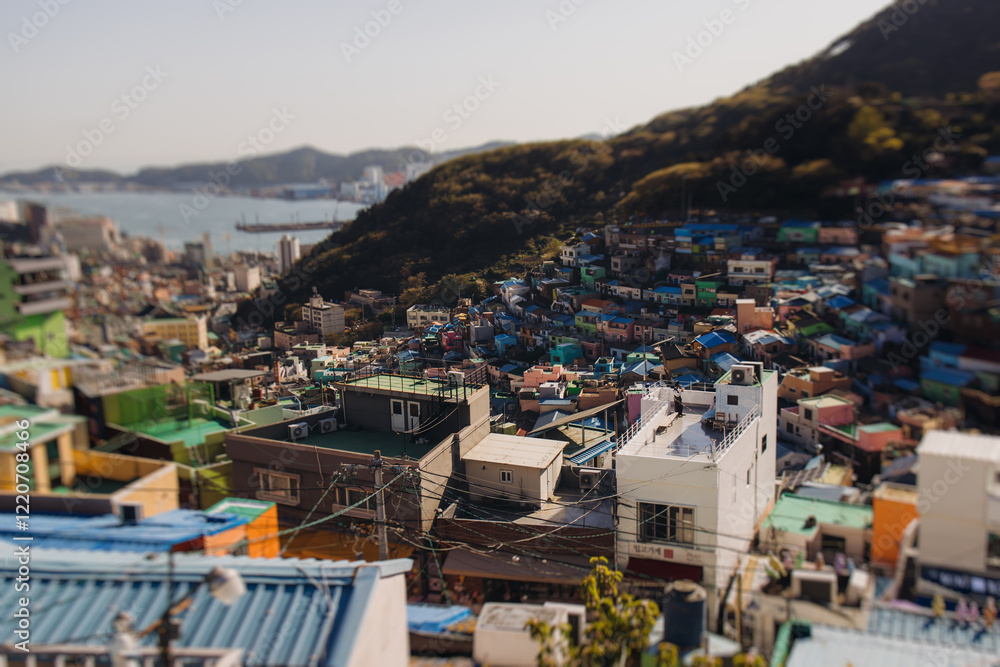 Fototapeta premium View of Gamcheon Culture village, Busan city, South Korea, Gamcheon-dong, Saha District, beautiful view of streets and multicoloured houses in a summer sunny day, Republic of Korea travel