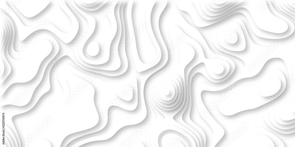 paper cut 3d render topography abstract, beautiful white Background. geometric map relief texture with curved layers and shadow. Realistic papercut decoration textured with wavy vector design. paper cut 3d render topography abstract, beautiful white Background. geometric map relief texture with curved layers and shadow. Realistic papercut decoration textured with wavy vector design.