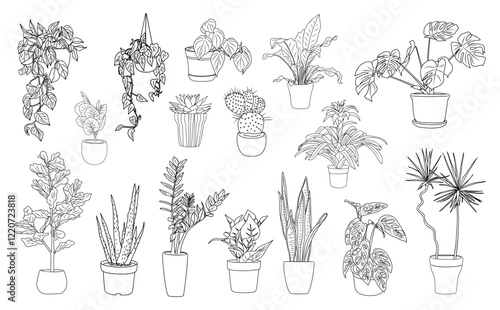 Set of Houseplants outline drawings. Indoor exotic flowers in pots line art. Monstera, aloe, hanging plant for home interior plans, design. Vector illustrations isolated