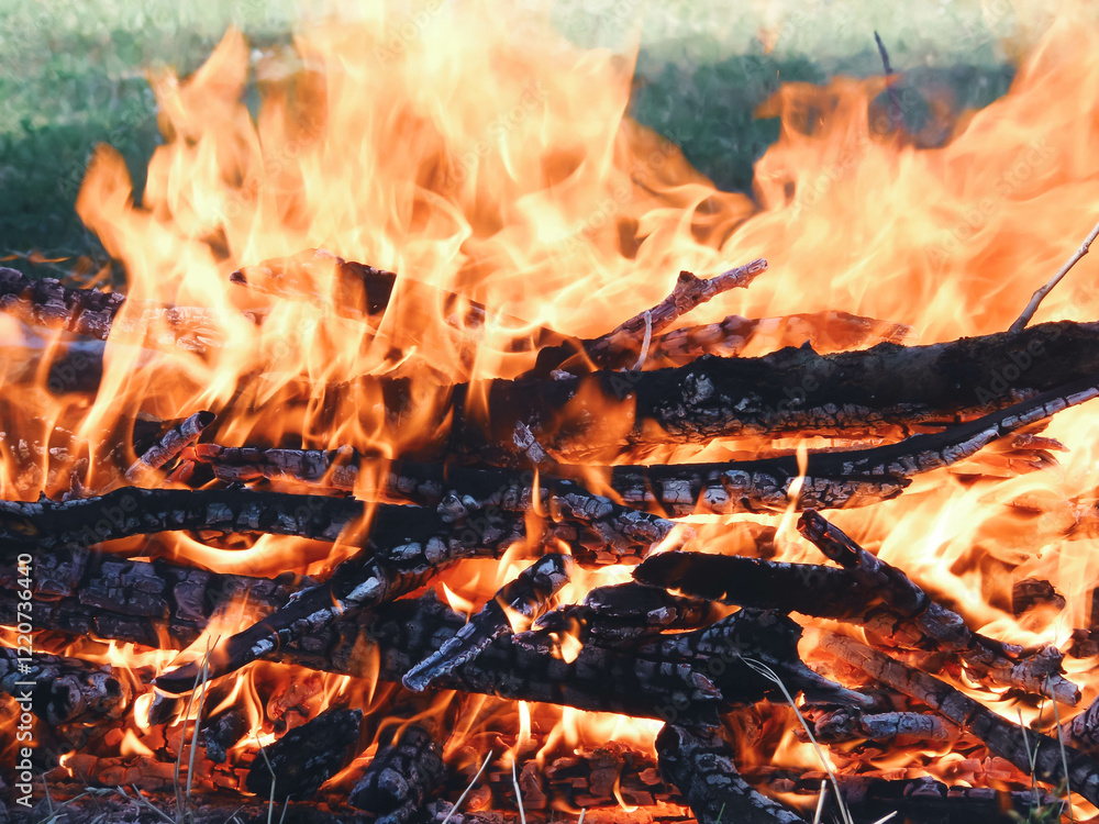 Fototapeta premium bonfire, fire, wood, burning, flame,