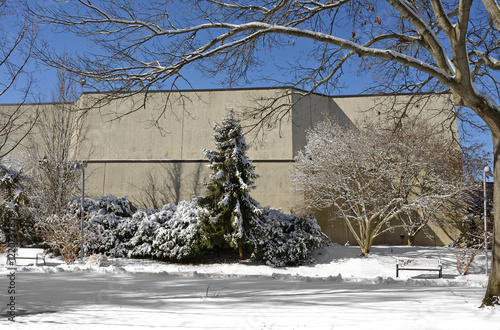 Winter landscape at Stony Brook University. New York, United States, on Long Island photo