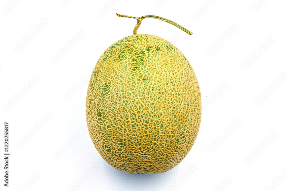 melon melon