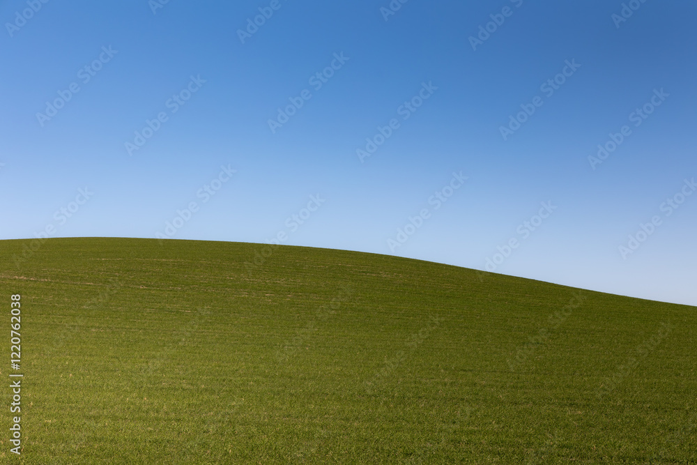 Minimalist landscape with grassy hill against clear blue sky, Andalusia, Spain Minimalist landscape with grassy hill against clear blue sky, Andalusia, Spain