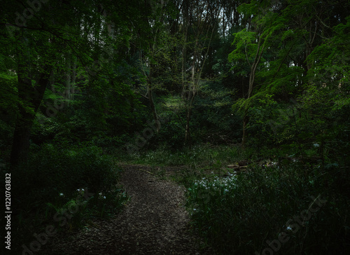Trees shining at dawn