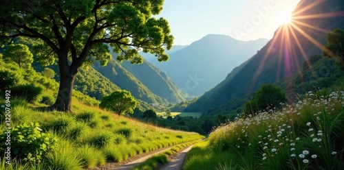 Sun-dappled Jonkershoek valley, lush green foliage, travel, cape town