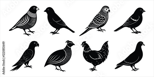 Wallpaper Mural Bird silhouette collection. Domestic bird set vector illustration Torontodigital.ca