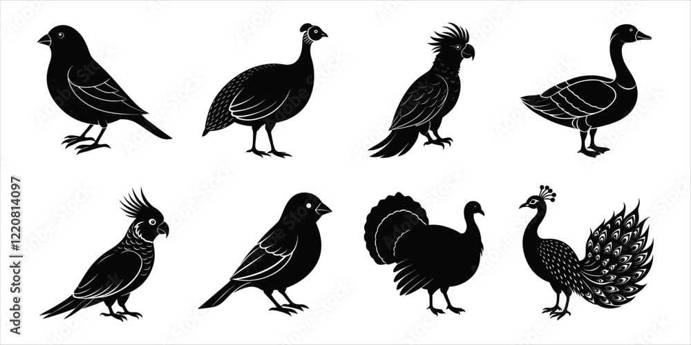 Obraz premium Bird silhouette collection. Domestic bird set vector illustration