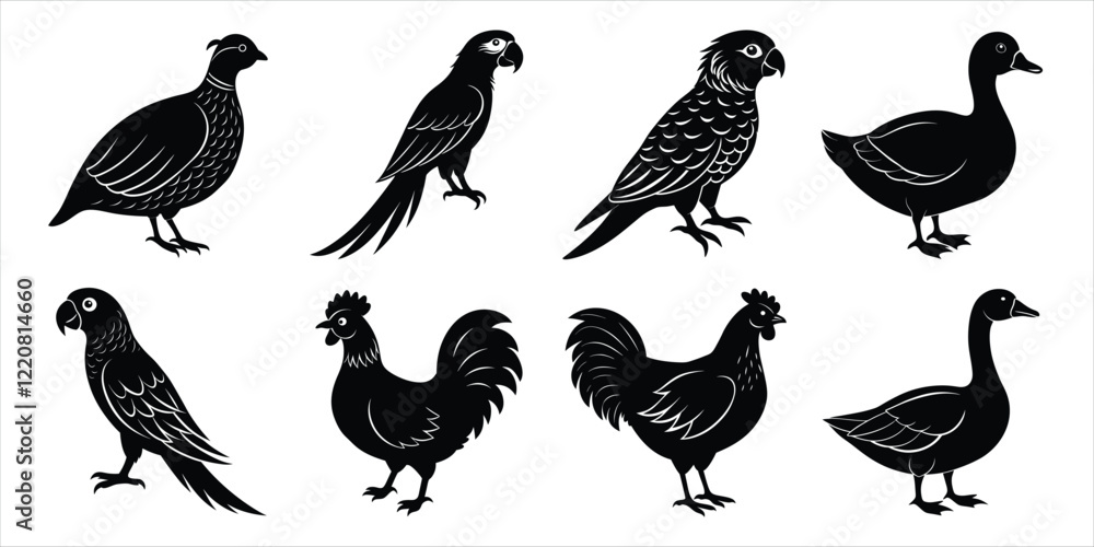Obraz premium Bird silhouette collection. Domestic bird set vector illustration