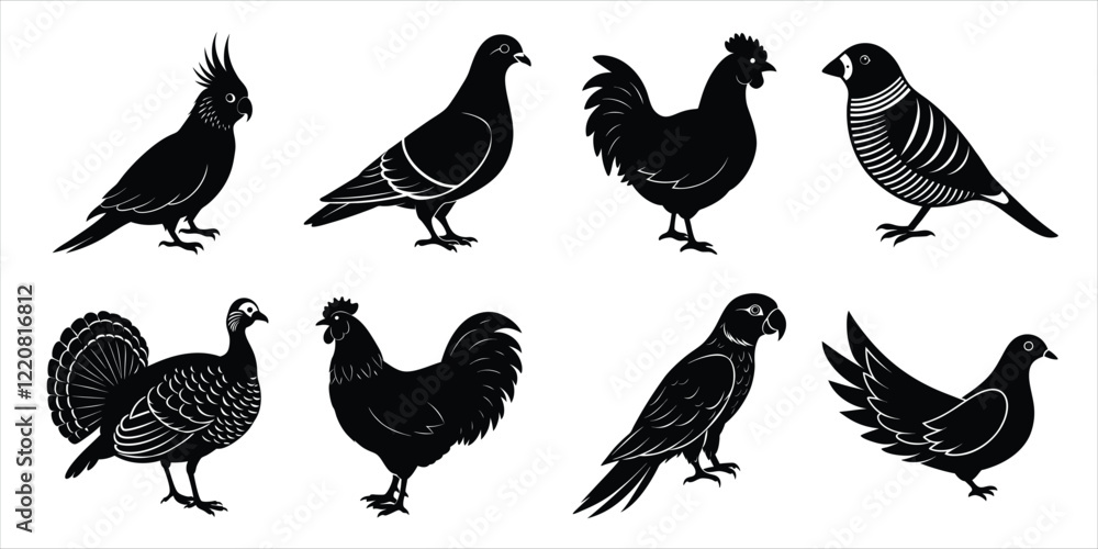 Obraz premium Bird silhouette collection. Domestic bird set vector illustration