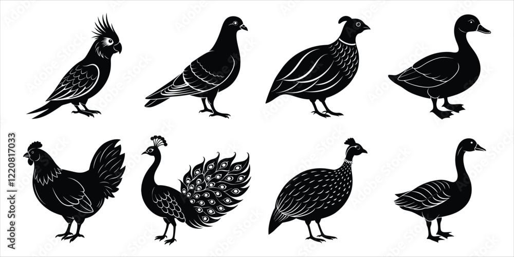 Obraz premium Bird silhouette collection. Domestic bird set vector illustration