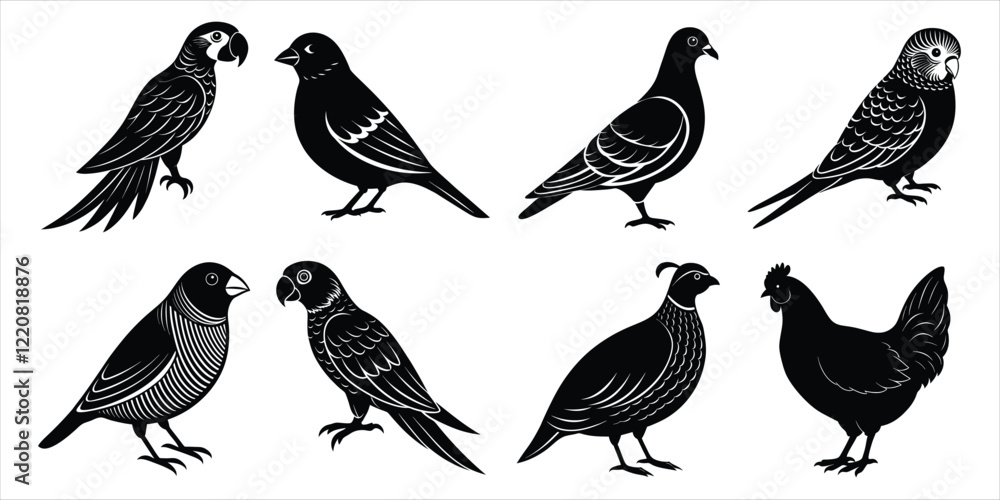 Obraz premium Bird silhouette collection. Domestic bird set vector illustration
