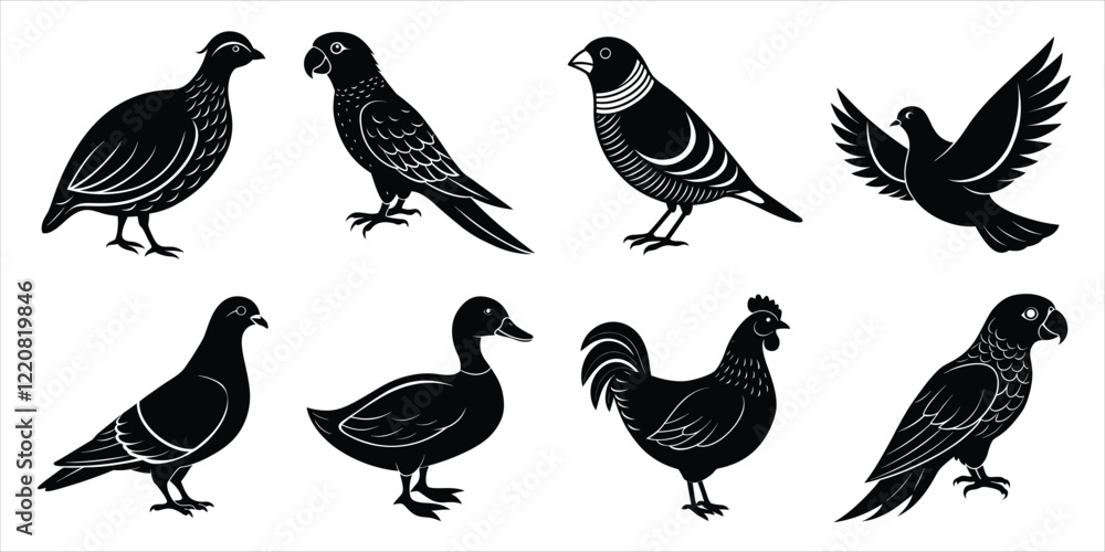 Obraz premium Bird silhouette collection. Domestic bird set vector illustration