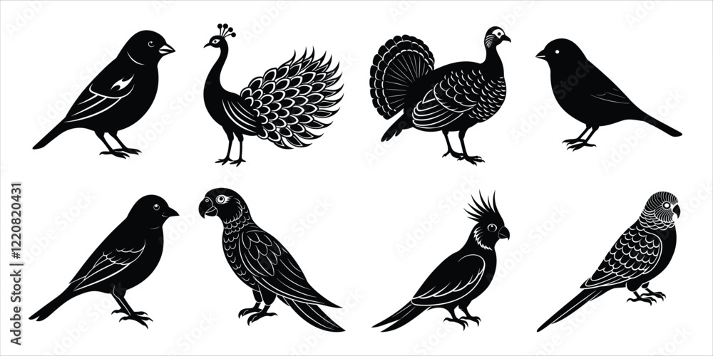 Obraz premium Bird silhouette collection. Domestic bird set vector illustration