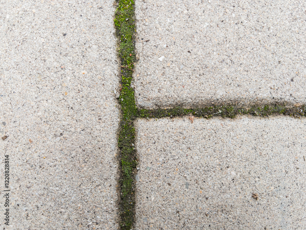 Fototapeta premium Old pavement stone texture as background