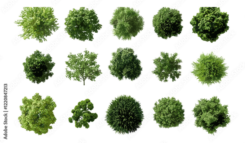3D Vector Illustration of Green Trees, Top View Isolated PNGs with Transparent Background, Perfect for Garden Decoration, Architectural Design Visualization, Outdoor Landscape Ideas 3D Vector Illustration of Green Trees, Top View Isolated PNGs with Transparent Background, Perfect for Garden Decoration, Architectural Design Visualization, Outdoor Landscape Ideas