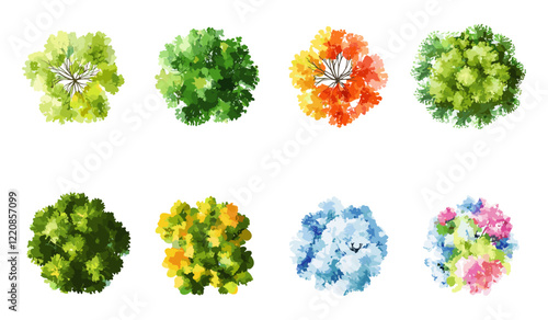 Watercolor tree vector illustration, abstract top view isolated on white, landscape plan, garden elements, architecture layout, flower bloom, environment, blossom grass