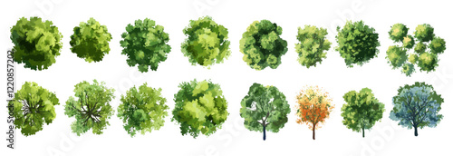 Abstract watercolor tree vector illustration top view, isolated on white background, landscape plan, garden elements, architecture layout, flower blooming, blossom grass