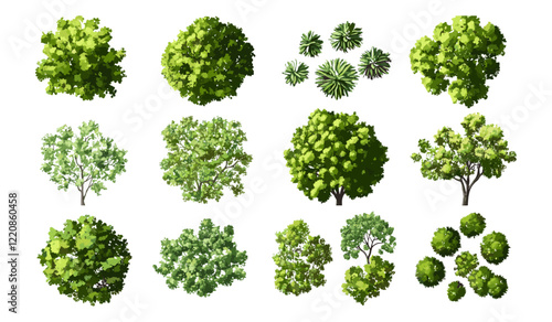Green tree top view vector set for outdoor plan, map, and architecture drawing, elements for garden, tropical plants, botanical elements, environment, blooming flowers in spring
