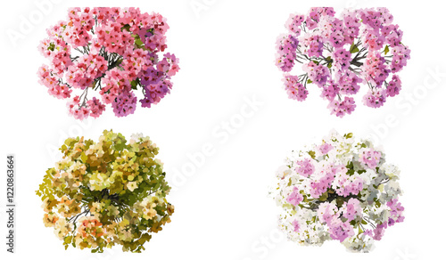 Vector watercolor blooming tree top view isolated on white background for garden, landscape planning, architecture drawing, botanical elements, spring flowers, environment