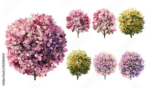 Blooming tree top view watercolor vector illustration isolated on white background for landscape plan, garden elements, environment and architecture drawing, spring botanical