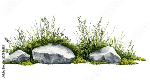 Watercolor vector illustration of grass with rock for landscape and architecture drawing, elements for environment and garden, botanical painting for section, meadows