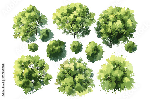 Top view watercolor vector tree isolated on white, landscape planning, garden layout, green grass for environment and architecture design, nature elements for drawing.