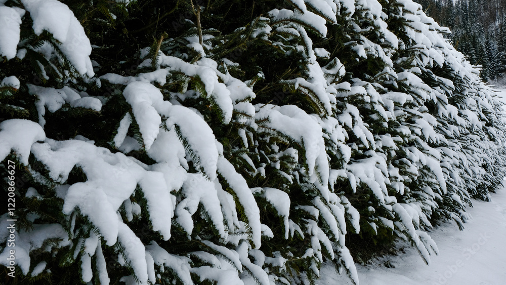 Winter in The Dolomites, Northern Italy Winter in The Dolomites, Northern Italy
