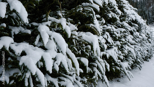 Winter in The Dolomites, Northern Italy