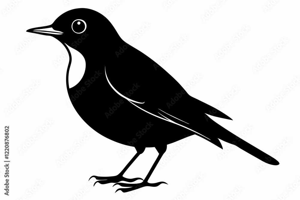 Obraz premium American Robin silhouette vector