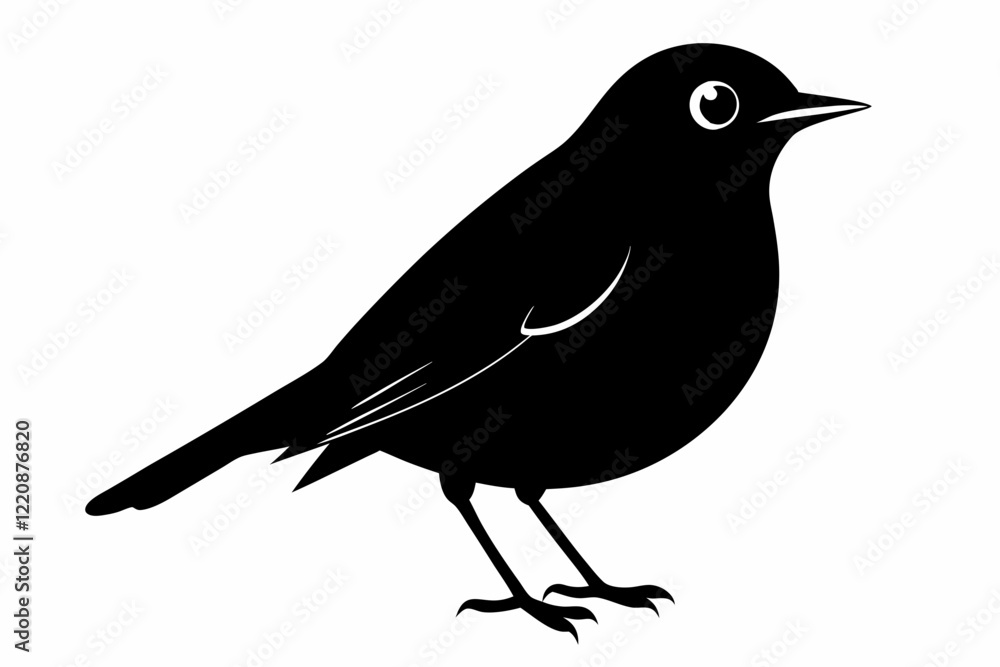 Obraz premium American Robin silhouette vector