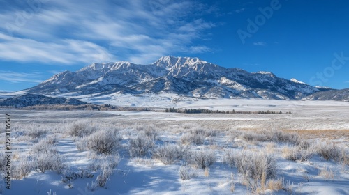 Wallpaper Mural Snow-covered mountain range with a brilliant blue sky and unspoiled winter wilderness  Torontodigital.ca